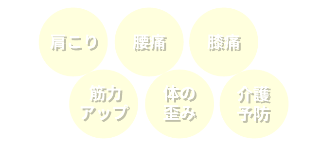 わずか10分！ カラダが「整」えば、人生が「動」きだす New Life Style Training